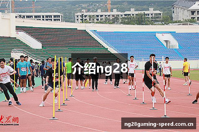 介绍ng28